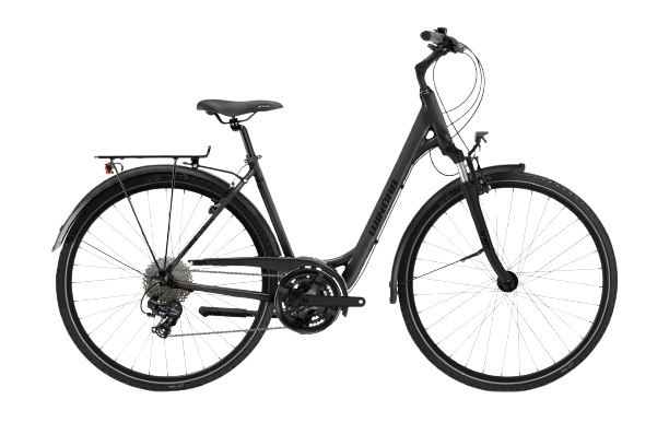 vélo de ville trekking WINORA Domingo X21 Low
